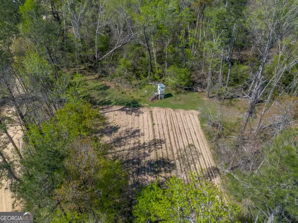 a view of backyard with green space