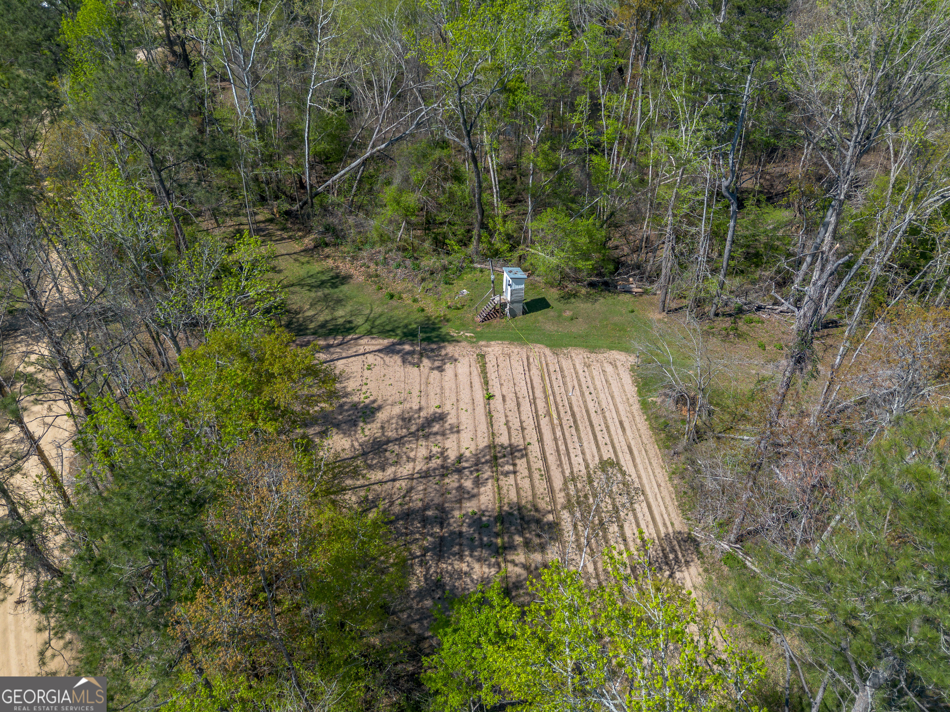 1102 Three Rivers Lane Uvalda, GA 30473 - Photo 8 of 52