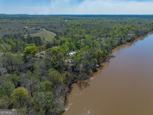 an aerial view of green landscape with trees houses and lake view