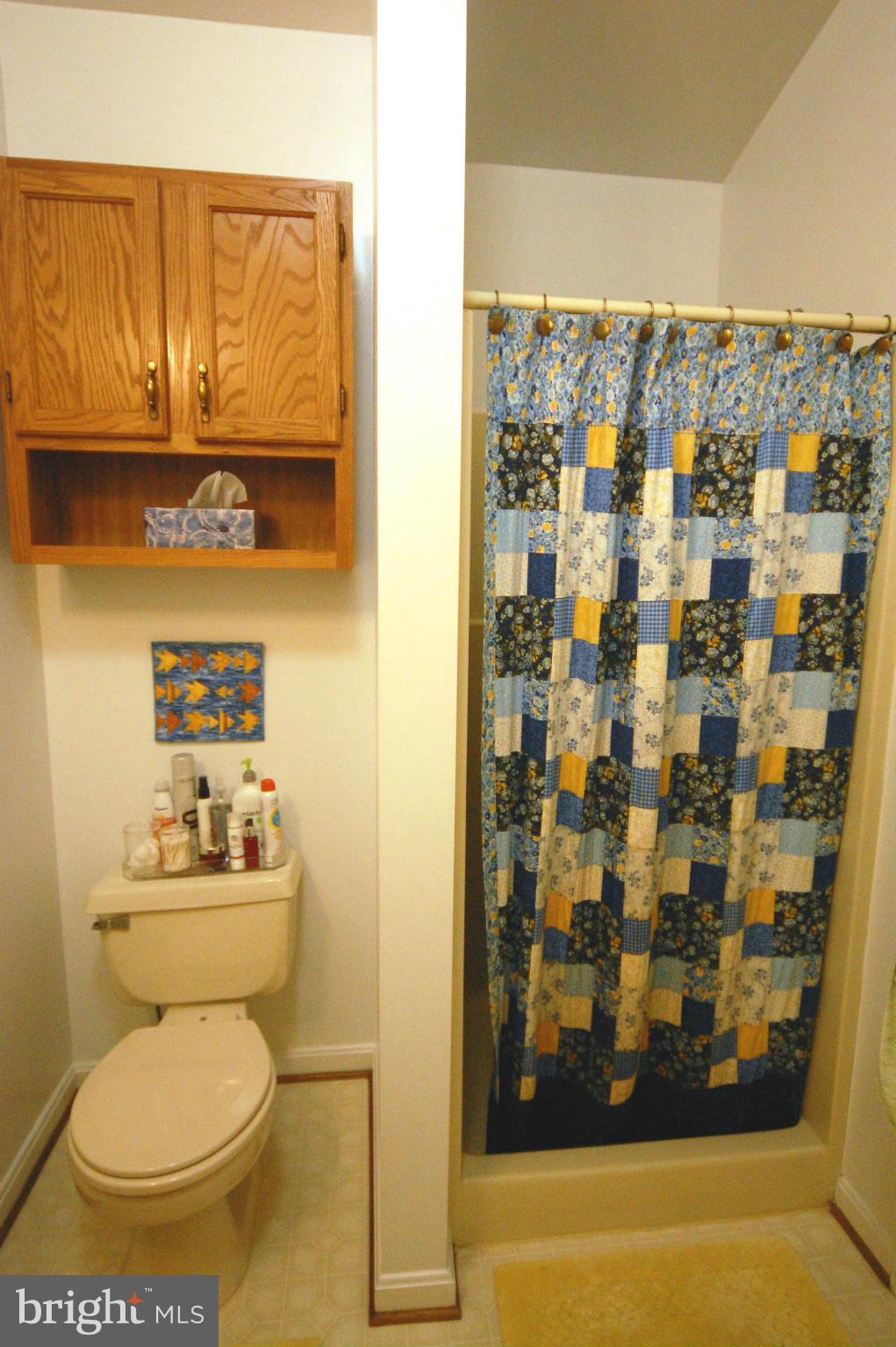 2223 Wetherburne Way Frederick, MD 21702 - Photo 7 of 14 Bath (Master)