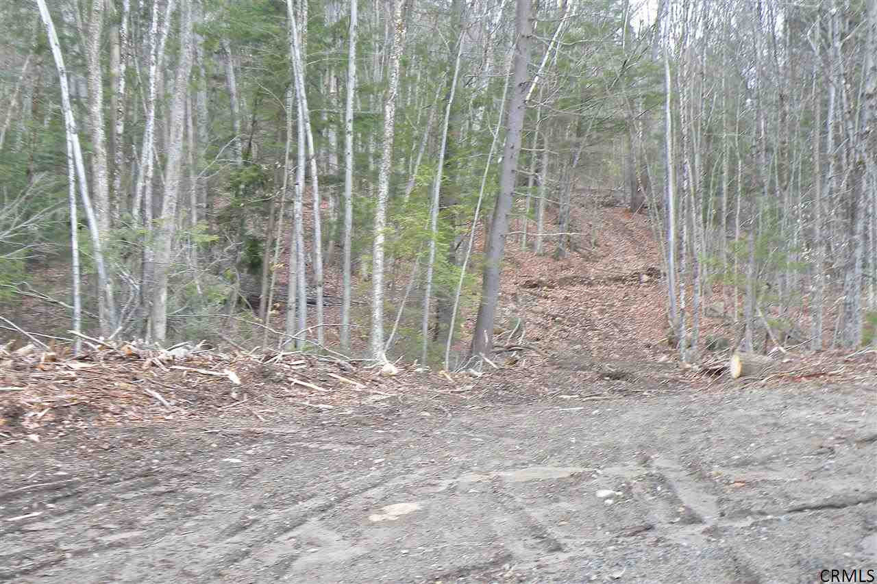 0 Shields Road Northville, NY 12134 - Photo 4 of 5 Photo 6