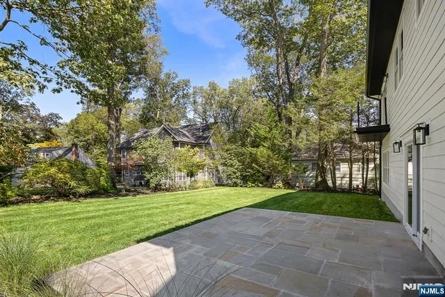 a view of a park with large trees