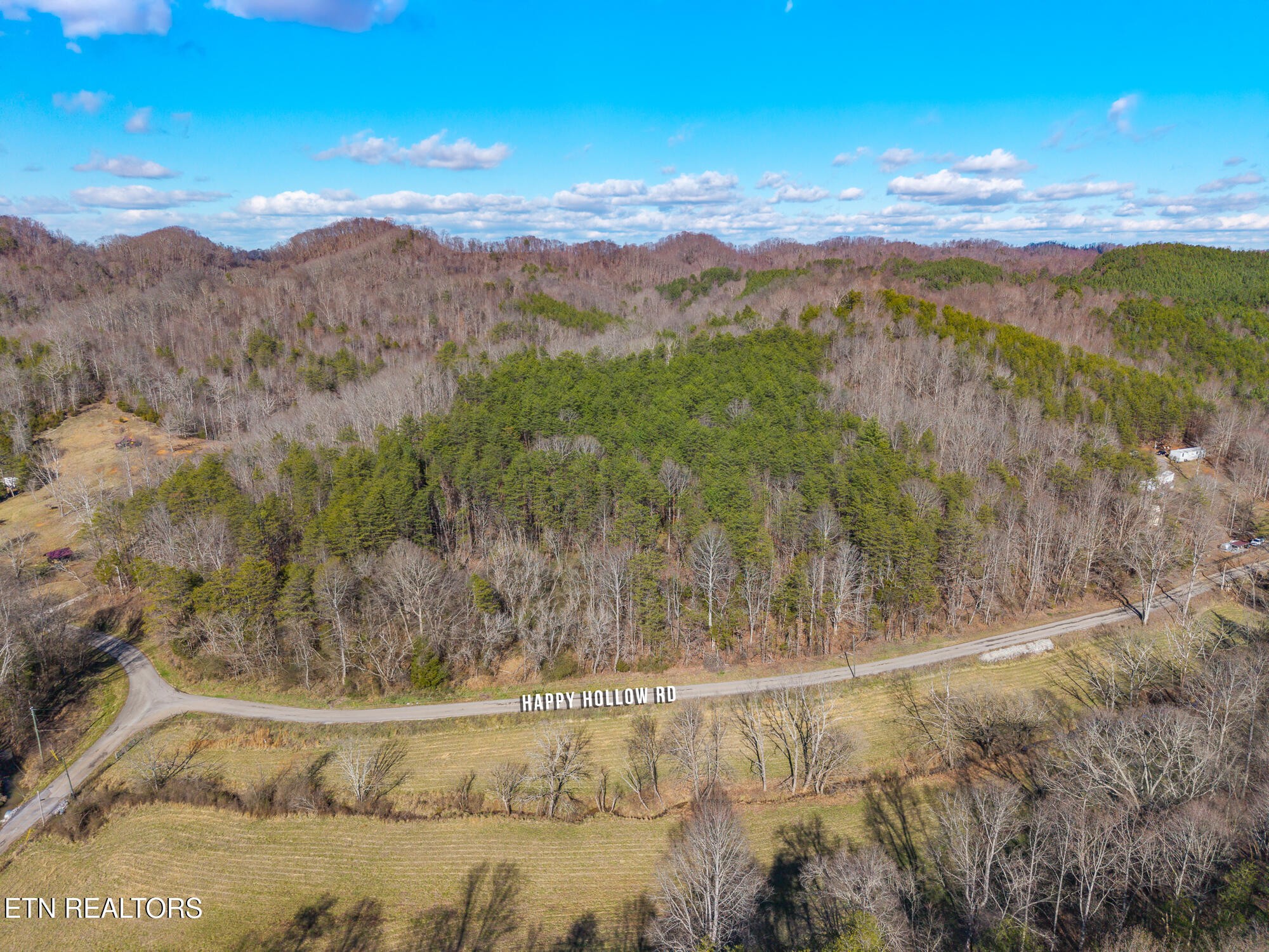 0 Happy Hollow Road Madisonville, TN 37354 - Photo 4 of 11