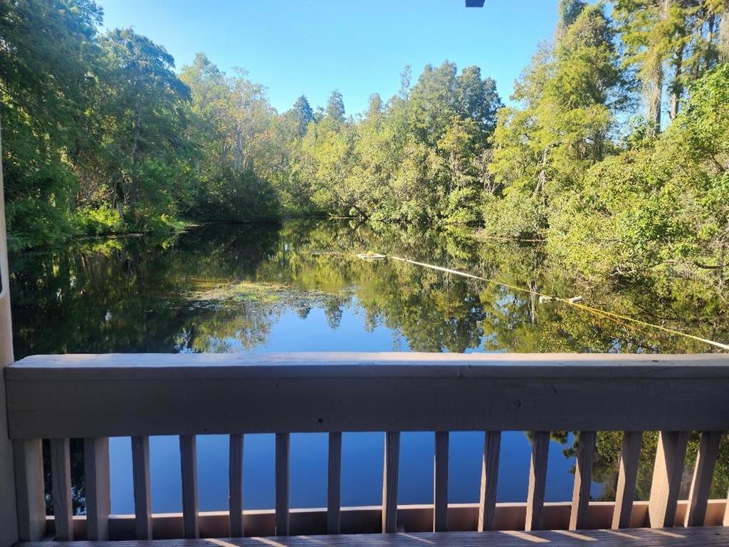 603 Baldwin Avenue, Unit B Safety Harbor, FL 34695 - Photo 20 of 32 a view of a wooden balcony