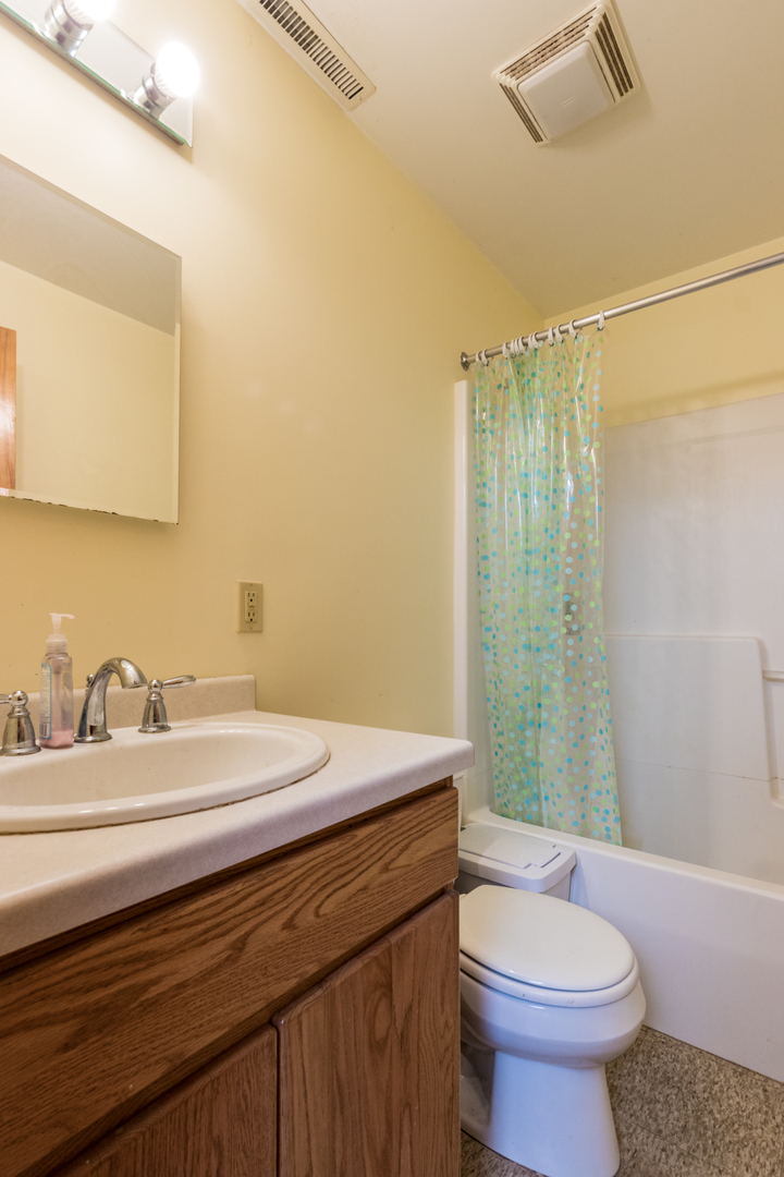 2567 Osborne Road Winnebago, IL 61088 - Photo 27 of 43 a bathroom with a sink a toilet and shower