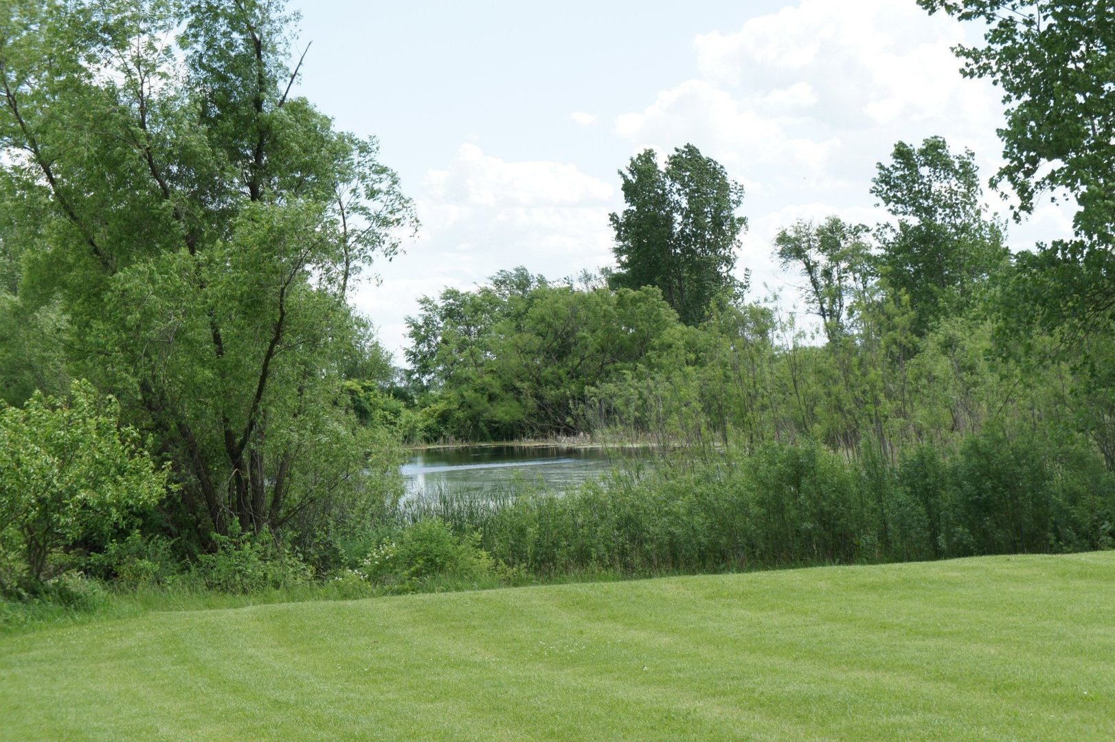 2567 Osborne Road Winnebago, IL 61088 - Photo 38 of 43 a view of a grassy field