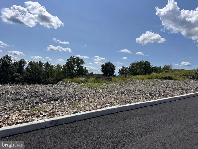 a view of a yard with a large tree