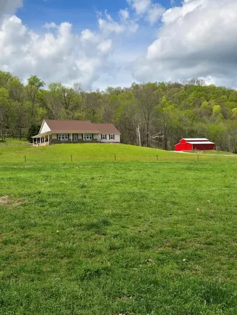 a view of a field with an trees in the background