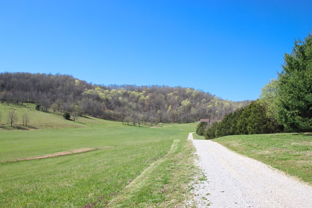 4134 Hickory Valley Road Sparta, TN 38583 - Photo 3 of 74 Gallery Image 3