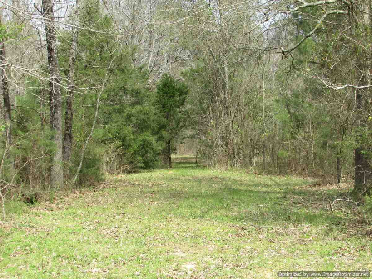 178 Fox Run Road Canton, MS 39046 - Photo 18 of 46 Photo 19