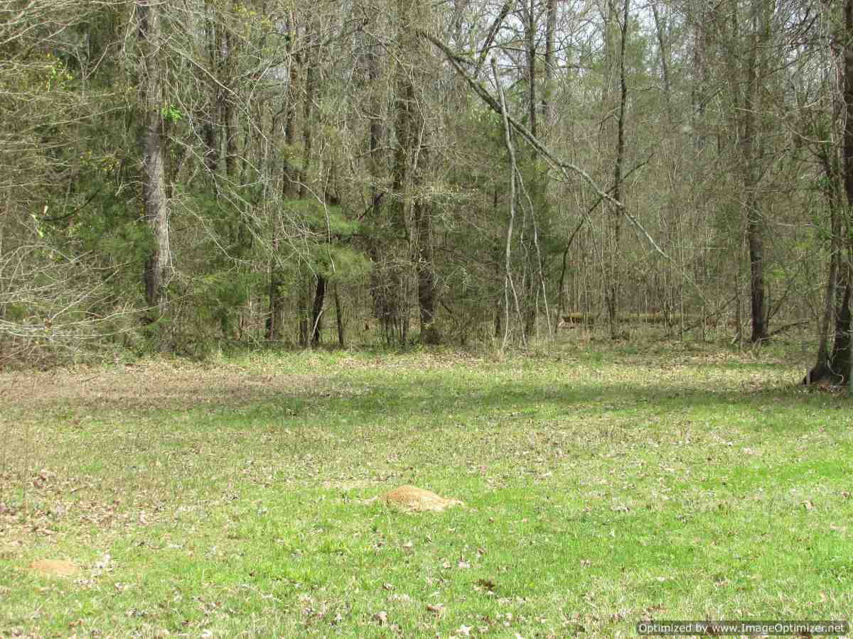 178 Fox Run Road Canton, MS 39046 - Photo 19 of 46 Photo 20