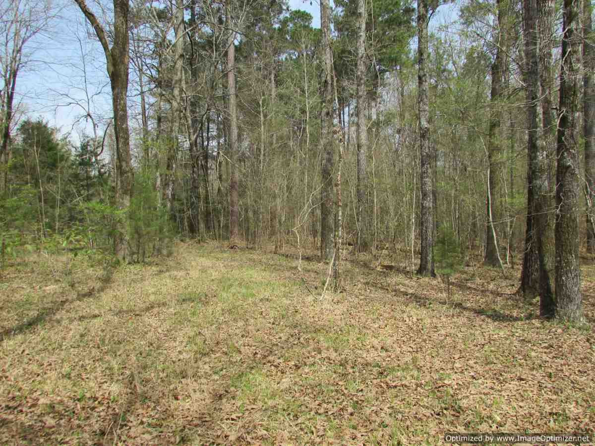 178 Fox Run Road Canton, MS 39046 - Photo 20 of 46 Photo 21