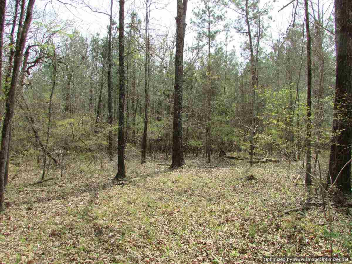178 Fox Run Road Canton, MS 39046 - Photo 21 of 46 Photo 22
