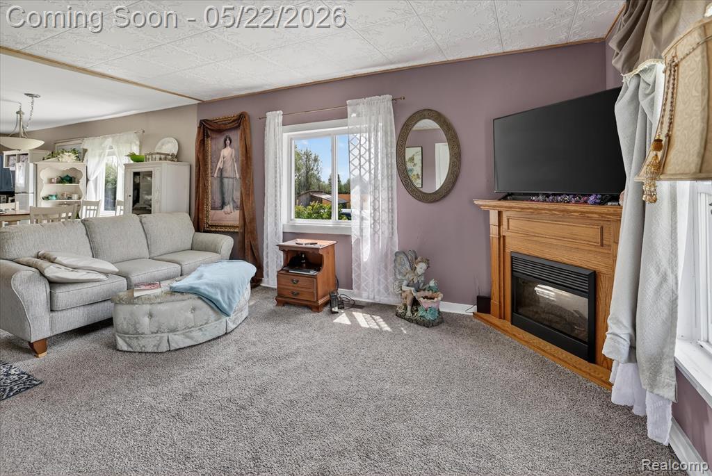 7950 Mayville Road Marlette, MI 48453 - Photo 8 of 50