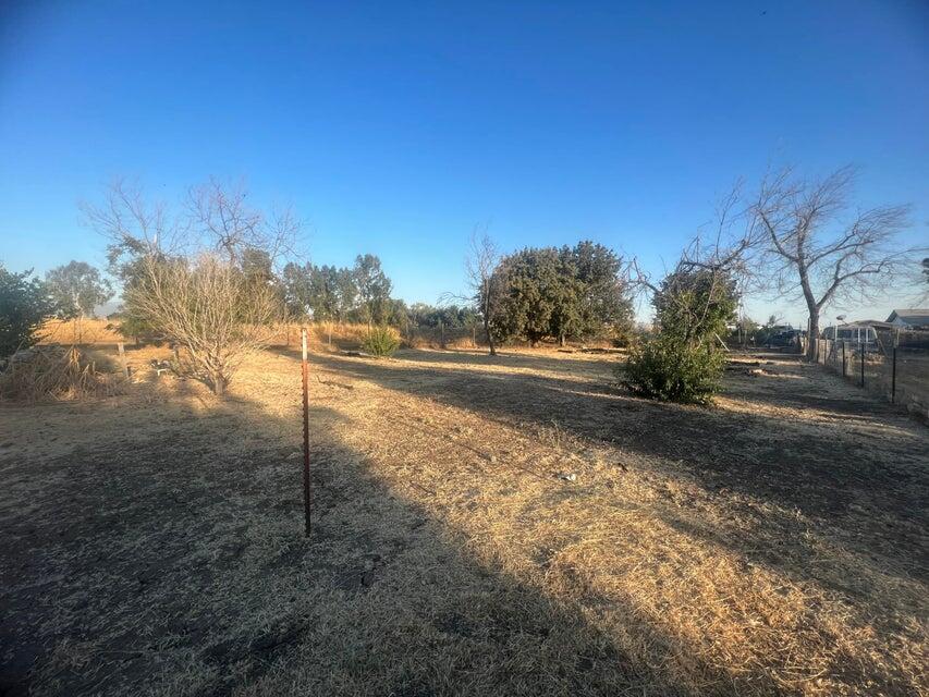 192 Ave 192 Strathmore, CA 93267 - Photo 2 of 4 a view of dirt yard