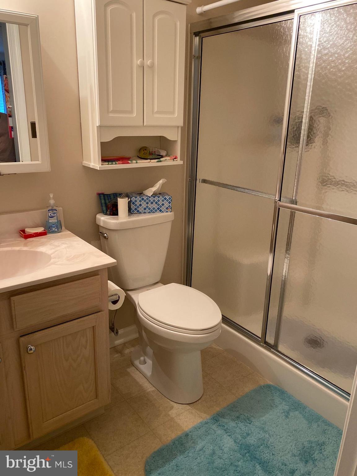 202 Brandon Road Norristown, PA 19403 - Photo 8 of 19 Masterbath with walk in shower