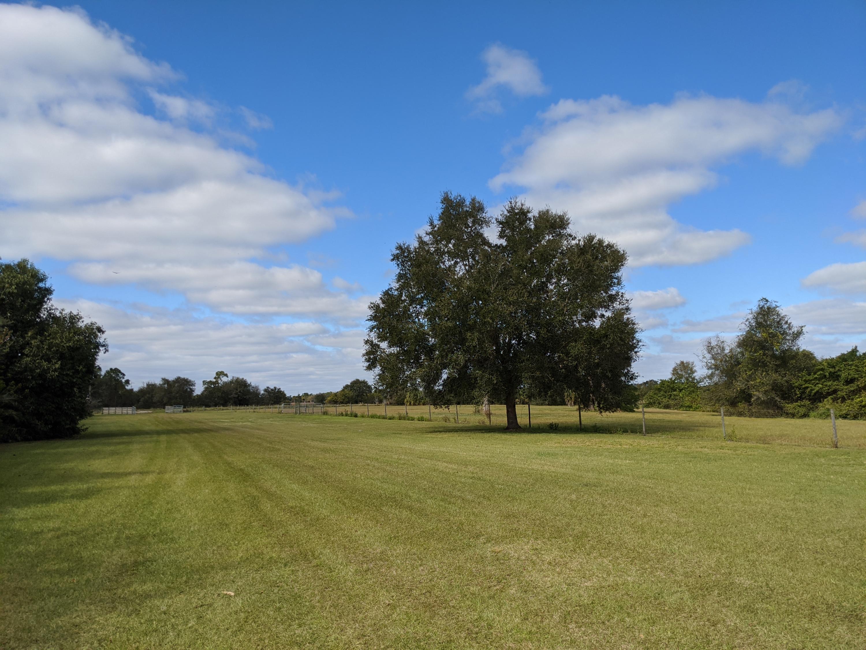 7851 Southwest Fox Brown Road Indiantown, FL 34956 - Photo 14 of 67 IMG_20210109_111145