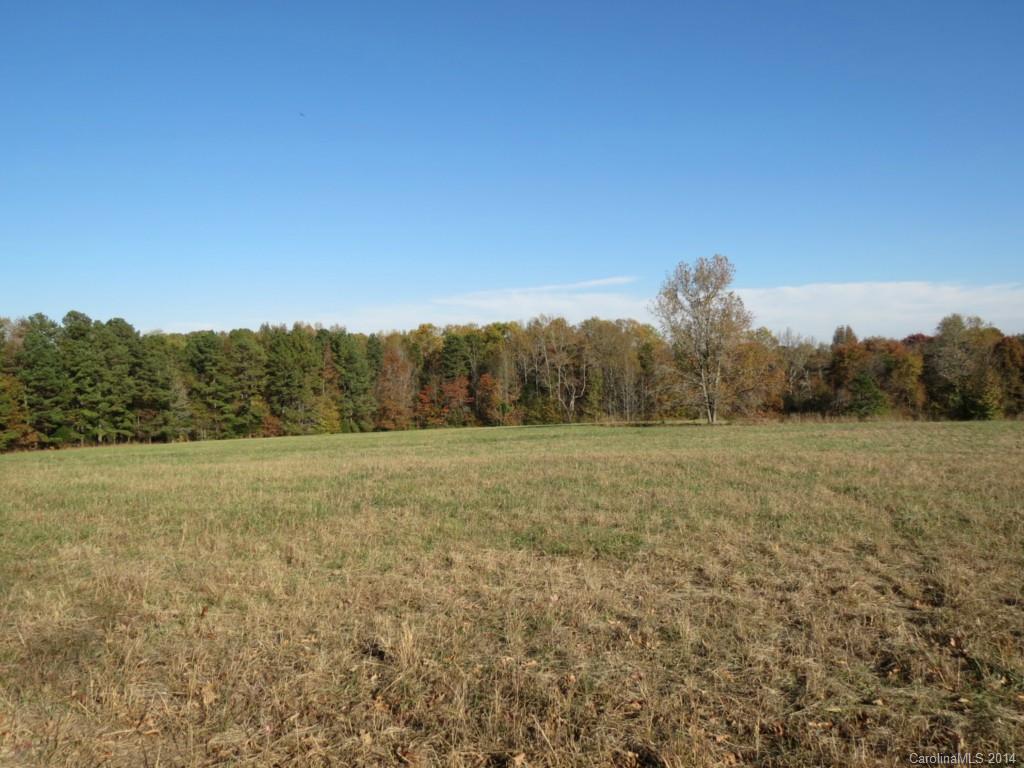 27.2-ac Lincoln Road York, SC 29745 - Photo 11 of 19 Gallery Image 11