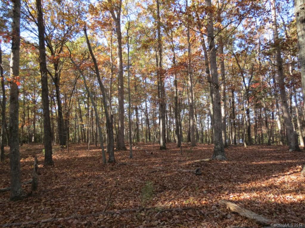 27.2-ac Lincoln Road York, SC 29745 - Photo 13 of 19 Gallery Image 13