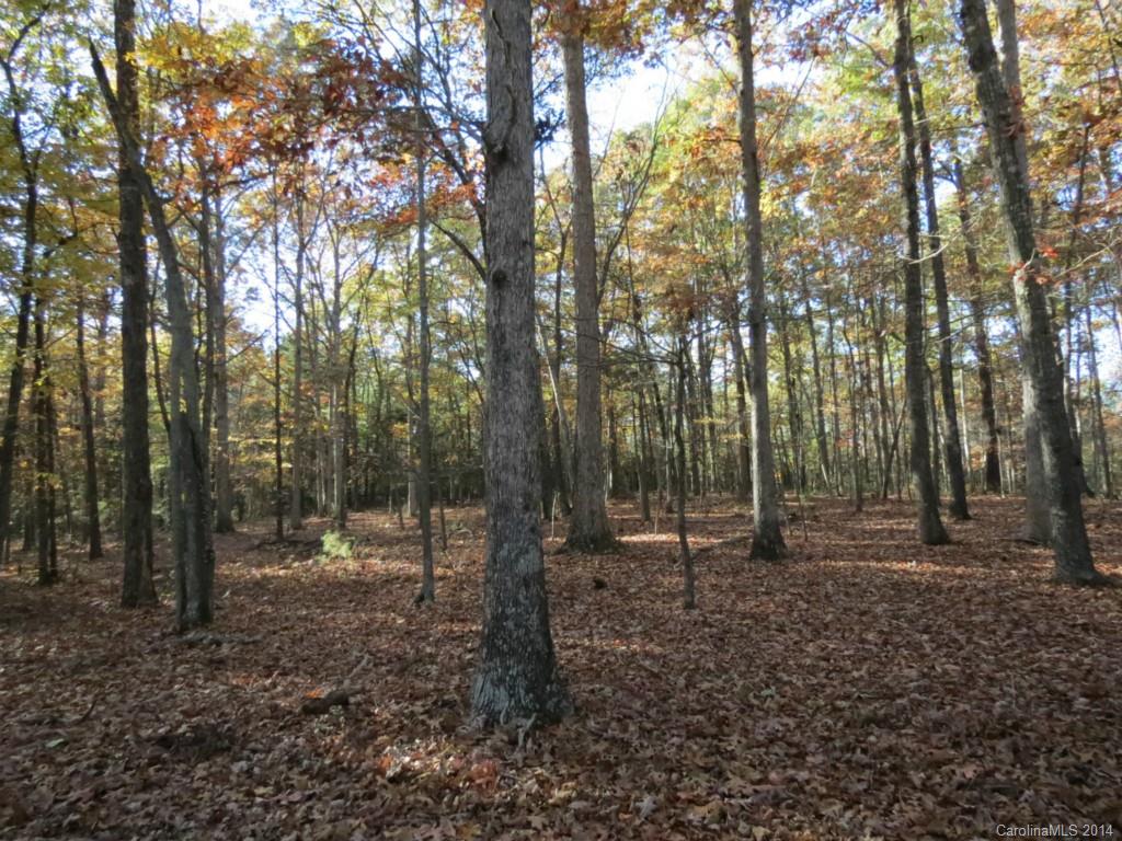 27.2-ac Lincoln Road York, SC 29745 - Photo 14 of 19 Gallery Image 14