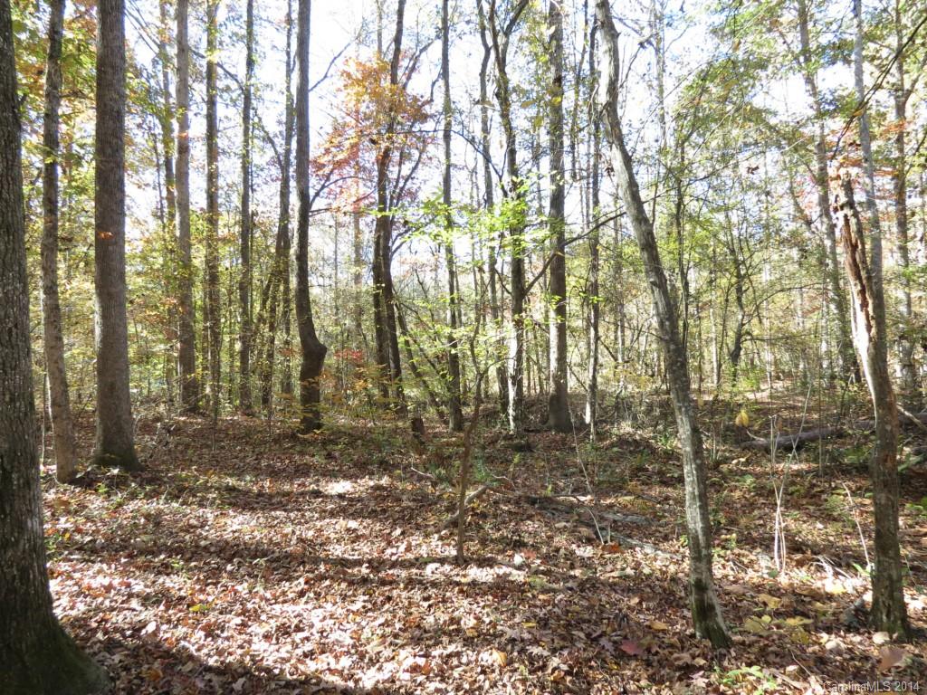 27.2-ac Lincoln Road York, SC 29745 - Photo 3 of 19 Gallery Image 3