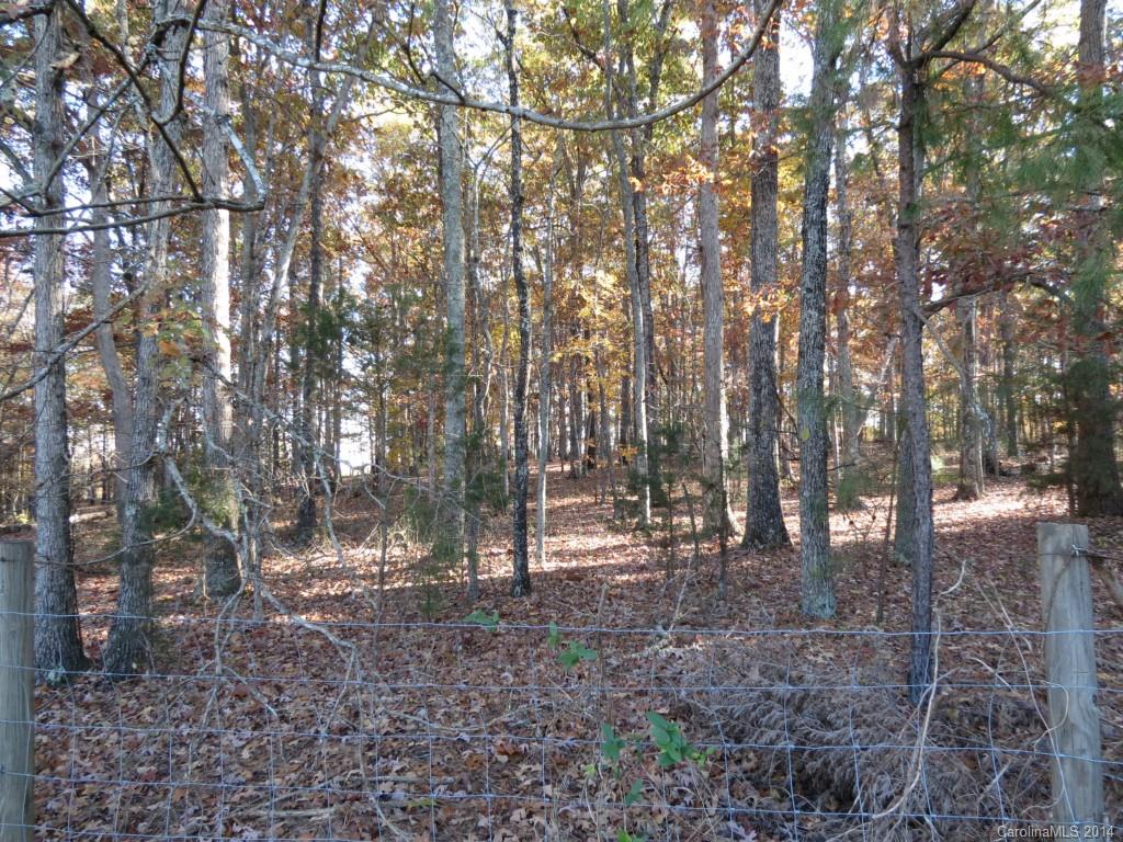 27.2-ac Lincoln Road York, SC 29745 - Photo 8 of 19 Gallery Image 8