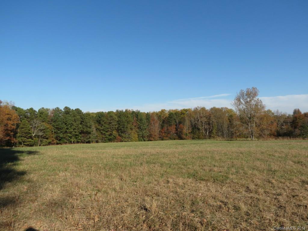 27.2-ac Lincoln Road York, SC 29745 - Photo 10 of 19 Gallery Image 10