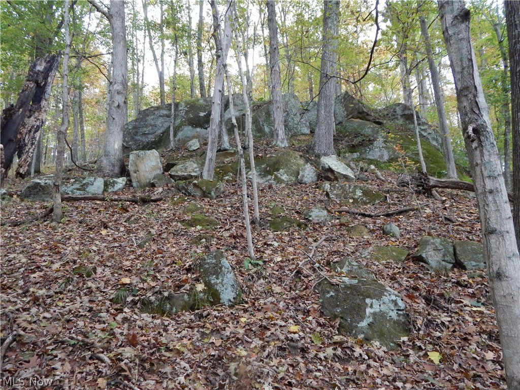 47 Rt Smithville, WV 26178 - Photo 13 of 18