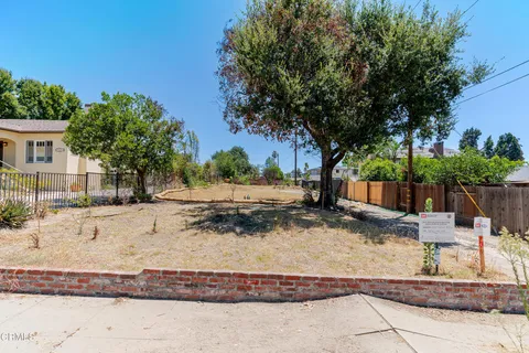 a view of a yard with a tree