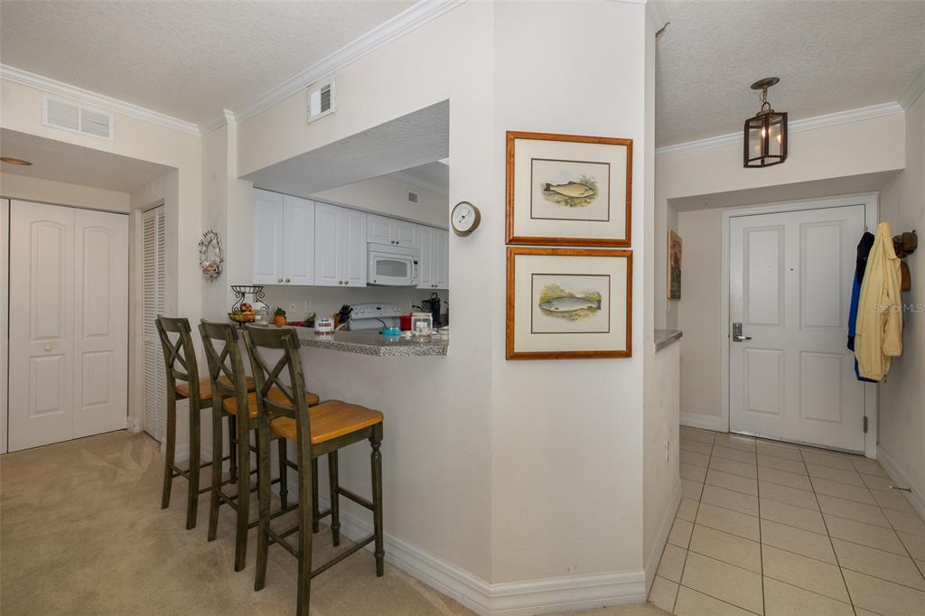 4516 Seagull Drive, Unit 413 New Port Richey, FL 34652 - Photo 7 of 59