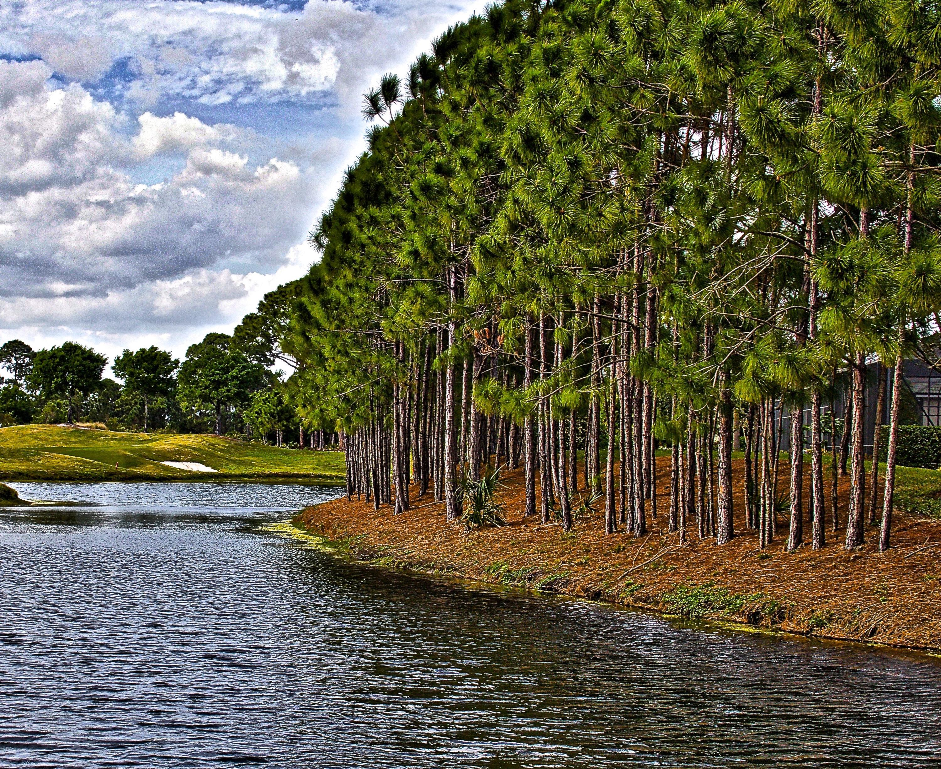 8841 First Tee Road Port St. Lucie, FL 34986 - Photo 30 of 228 1318 Pond And Pines