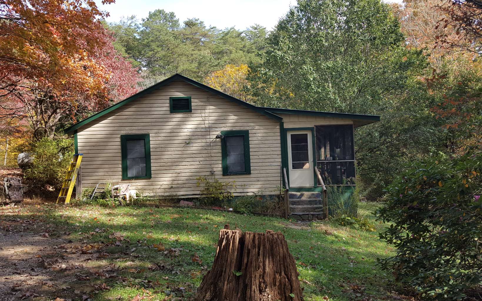 a view of backyard of house