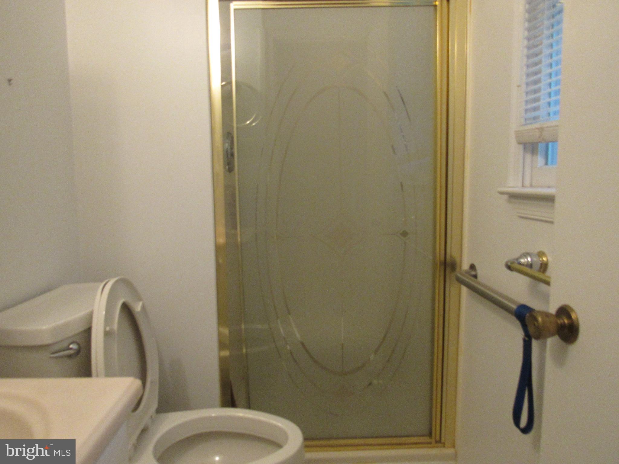 12553 Calyx Road Lusby, MD 20657 - Photo 25 of 61 primary bathroom shower