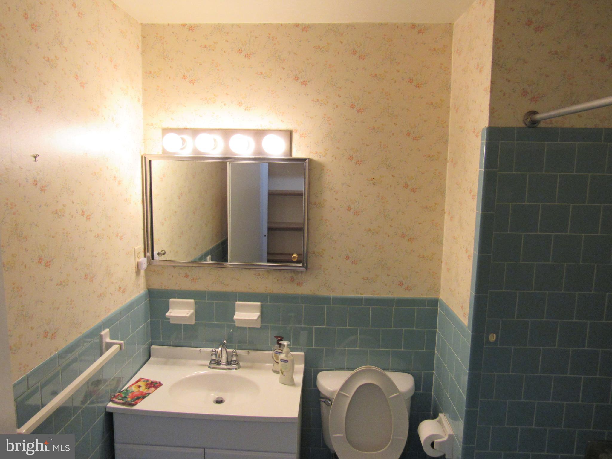 12553 Calyx Road Lusby, MD 20657 - Photo 30 of 61 main bathroom