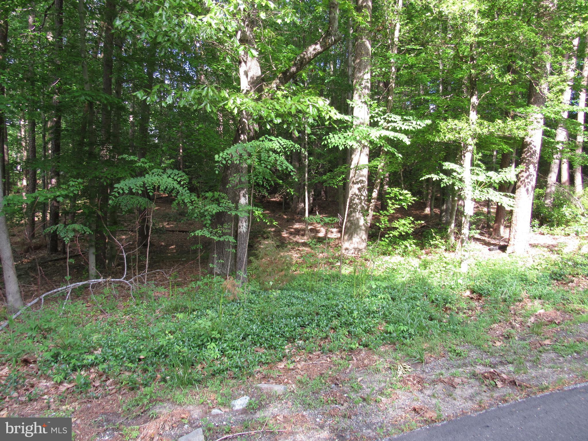 12553 Calyx Road Lusby, MD 20657 - Photo 57 of 61 view from front of house (vacant lot)