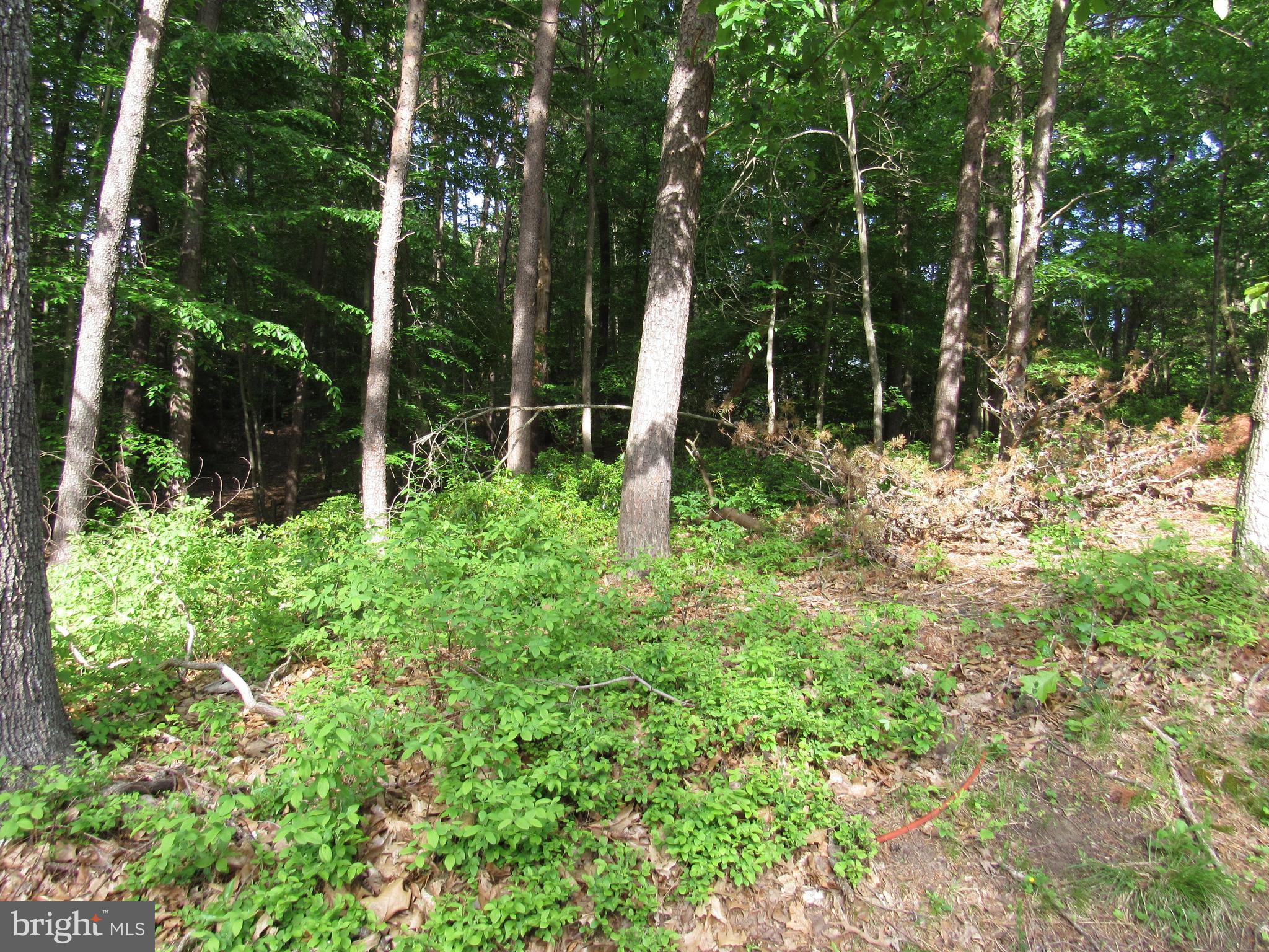 12553 Calyx Road Lusby, MD 20657 - Photo 58 of 61 Gallery Image 58