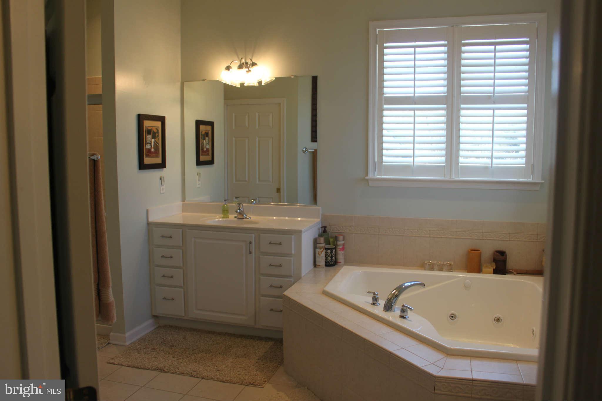 210 Little Lots Road Stevensville, MD 21666 - Photo 18 of 30 Bath (Master)