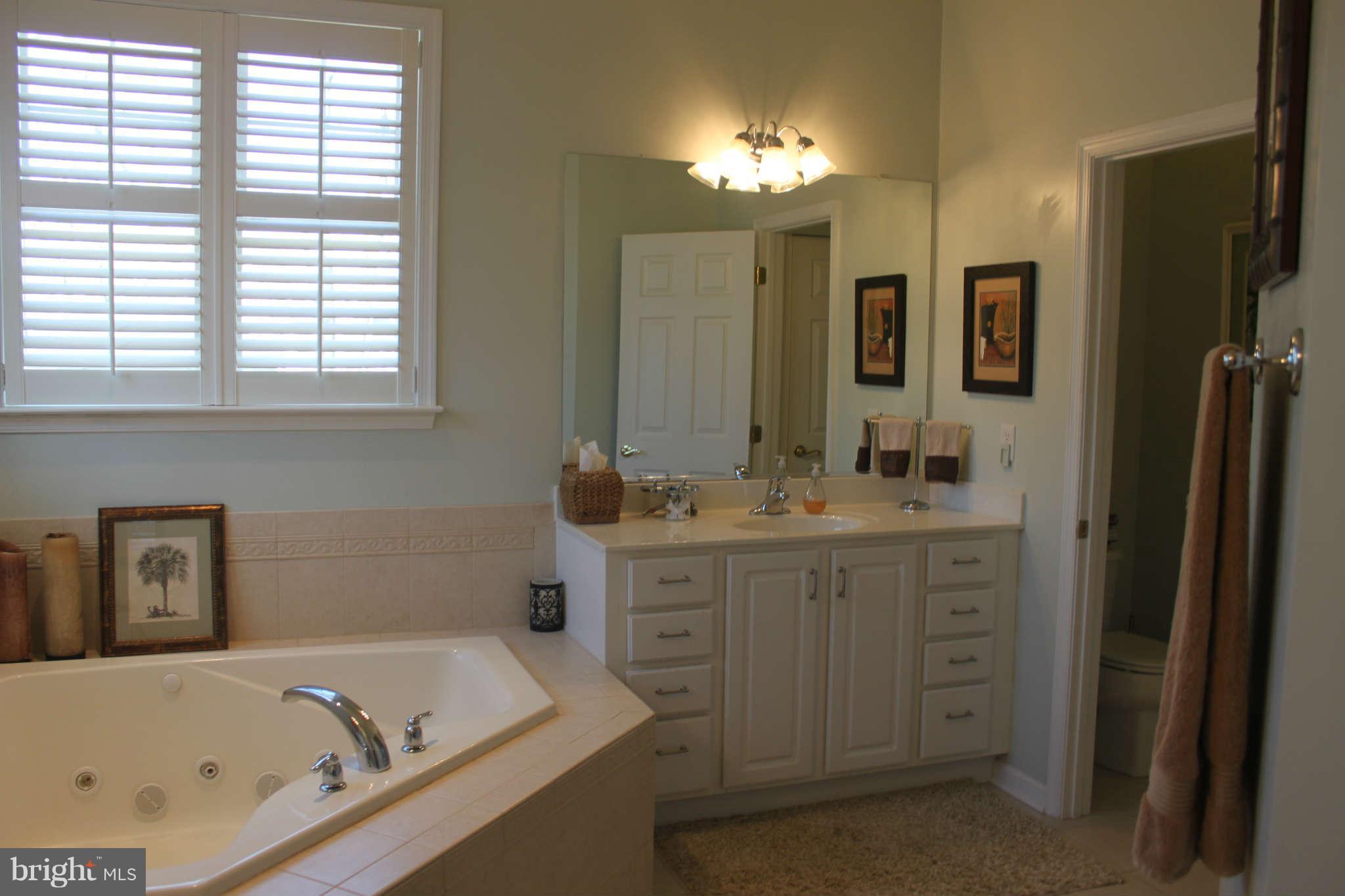 210 Little Lots Road Stevensville, MD 21666 - Photo 19 of 30 Bath (Master)
