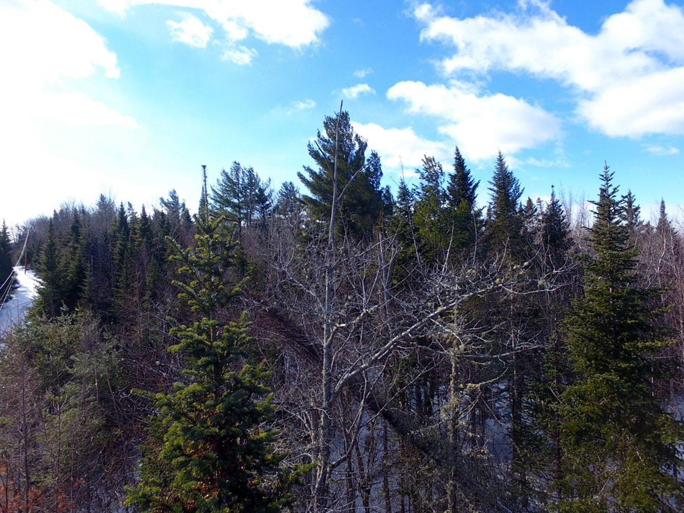 2 Pine Bluff Road Embden, ME 04958 - Photo 32 of 36 DJI_0004