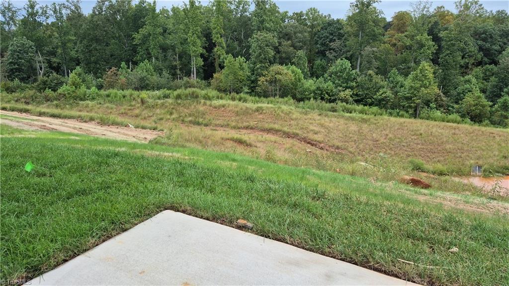 5079 Fallmeade Road Kernersville, NC 27284 - Photo 3 of 40 Rear Yard backs up to HOA common area