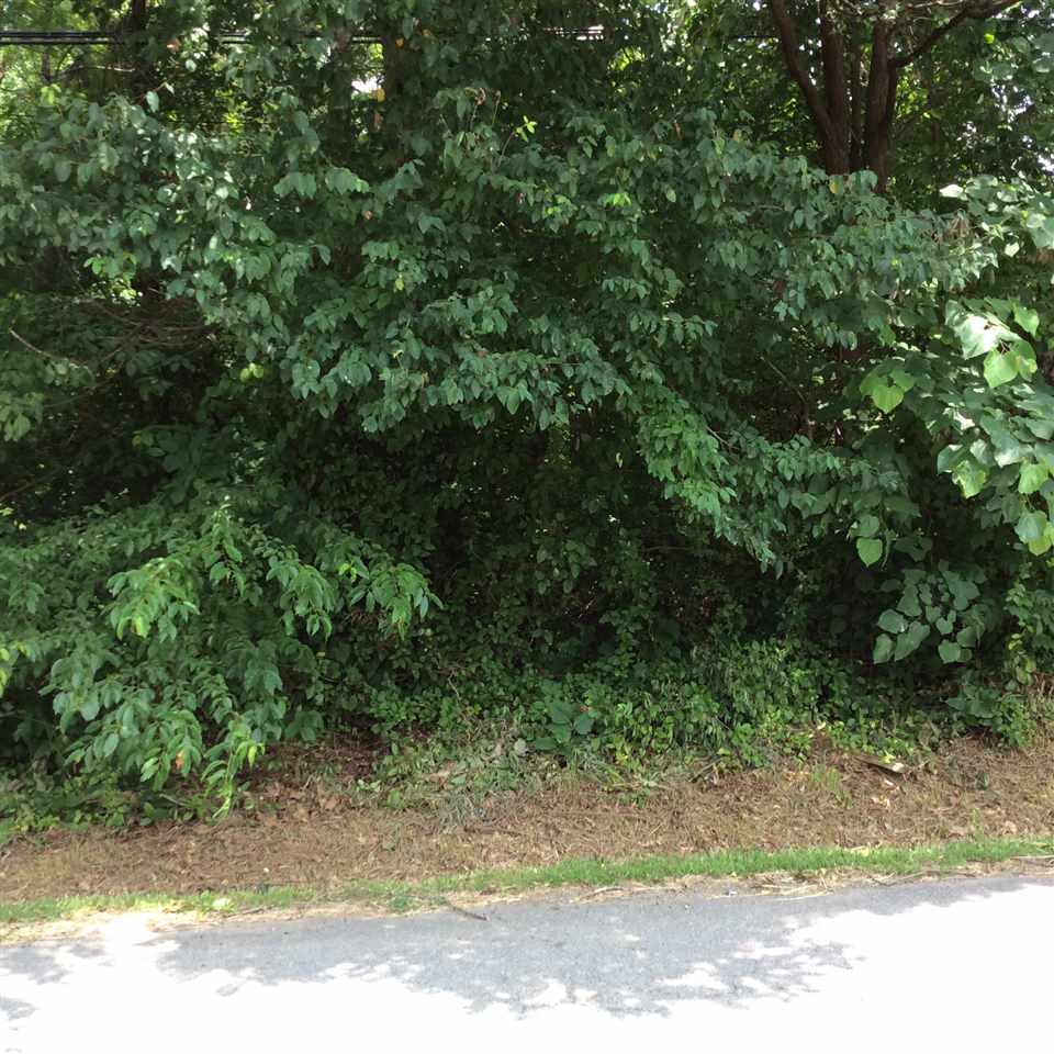 Lot 6 Park Road Crozet, VA 22932 - Photo 1 of 2 a view of outdoor space with trees