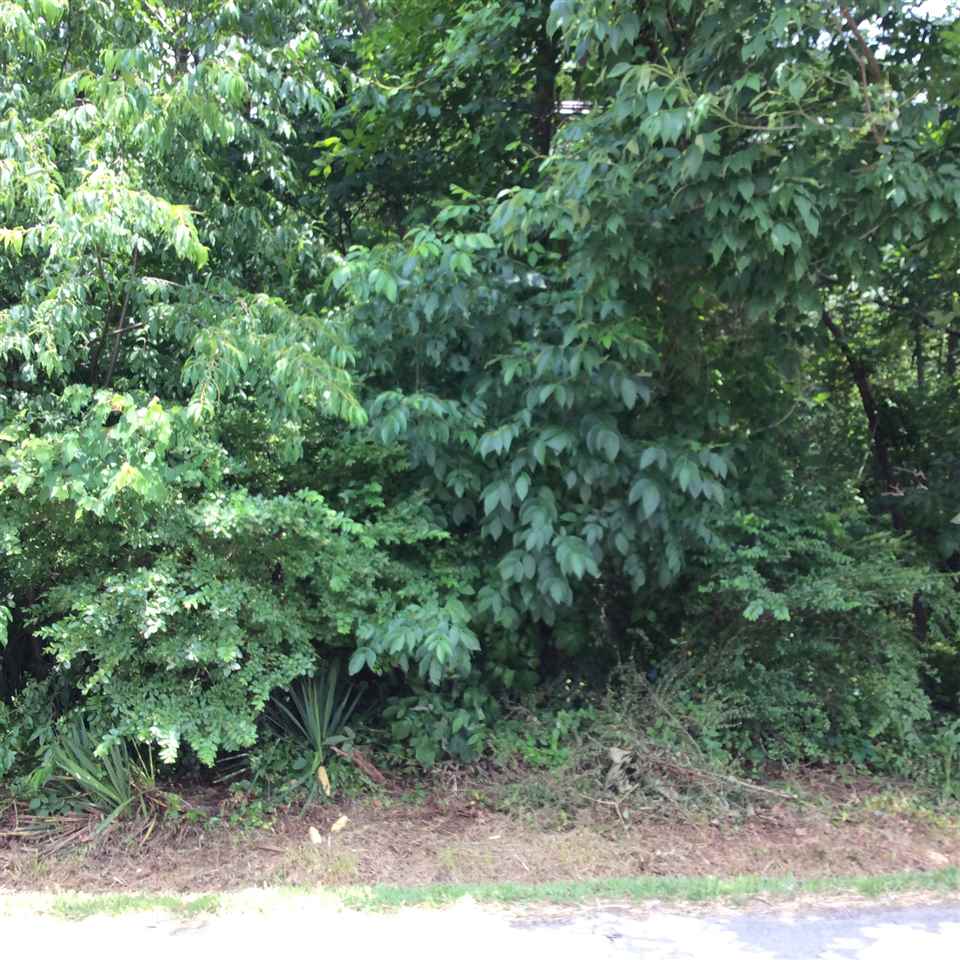 Lot 6 Park Road Crozet, VA 22932 - Photo 2 of 2 a view of a forest with lots of trees