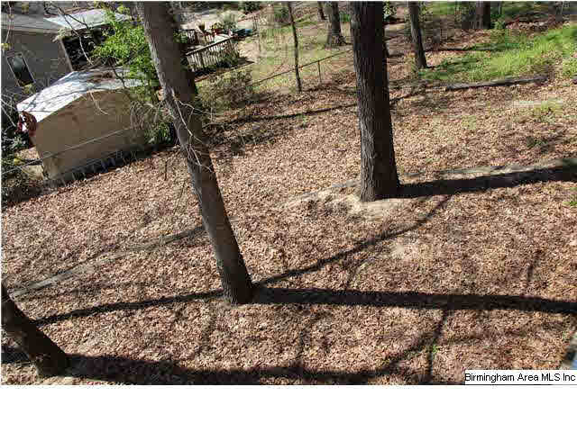 509 11th Street Northwest Alabaster, AL 35007 - Photo 23 of 28
