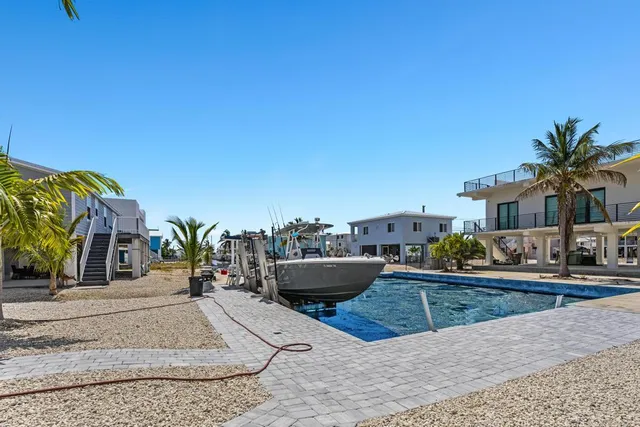 a view of a backyard with plants and palm tree