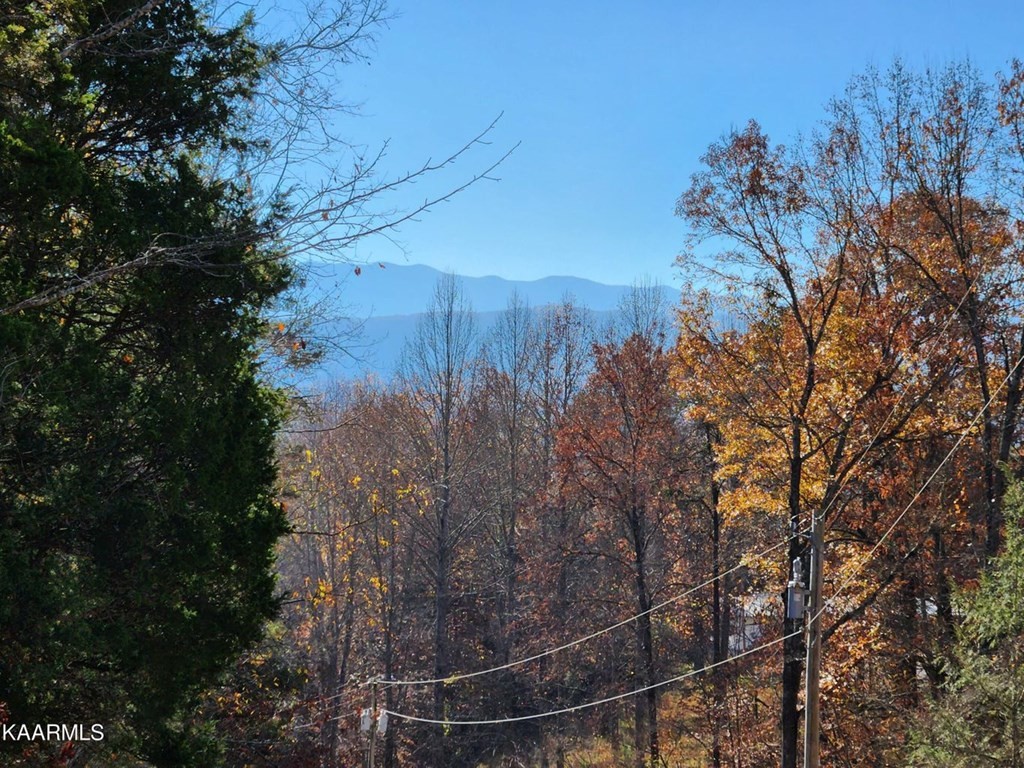 7 Fancher Road Newport, TN 37821 - Photo 4 of 9 Gallery Image 4