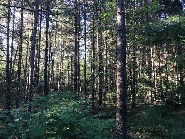 105-ac Pine Lake Road Minocqua, WI 54548 - Photo 24 of 25 Gallery Image 24