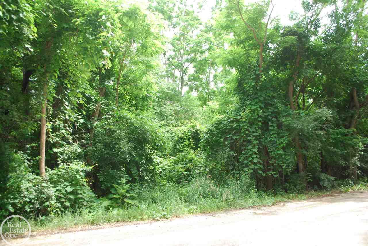 0 Powell Road Washington, MI 48095 - Photo 3 of 9