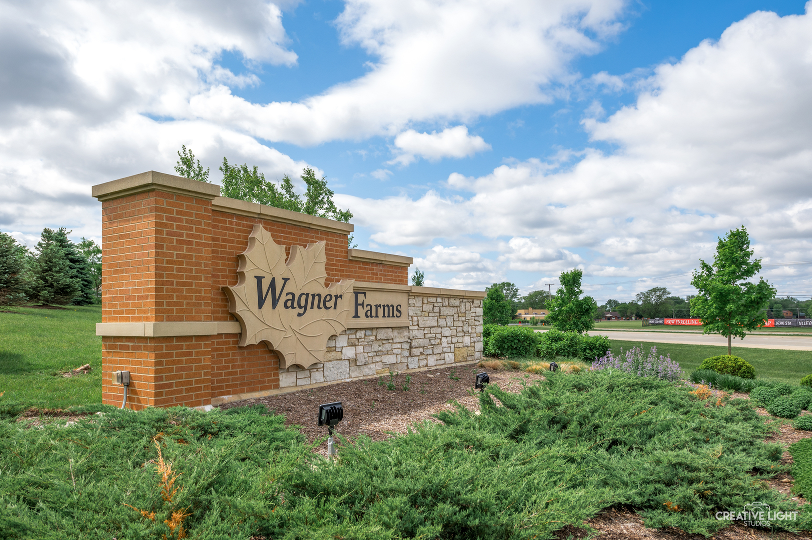 3847 Gold Cup Lane Naperville, IL 60564 - Photo 38 of 48