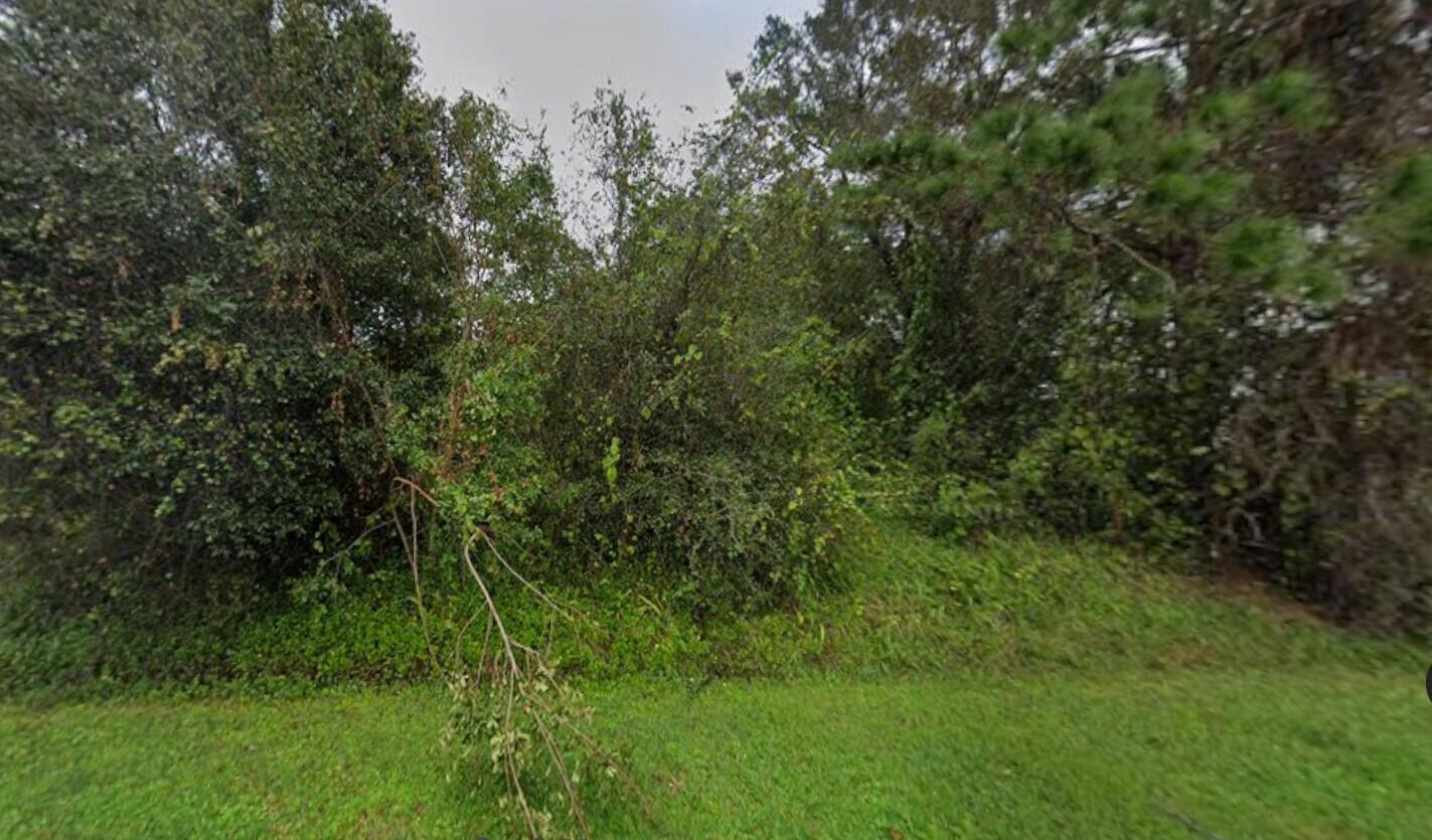 7204 Pensacola Road Fort Pierce, FL 34951 - Photo 1 of 1 a view of a lush green forest