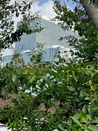 $1,295 | 3400 Timmons Lane, Unit 24, Houston, TX 77027